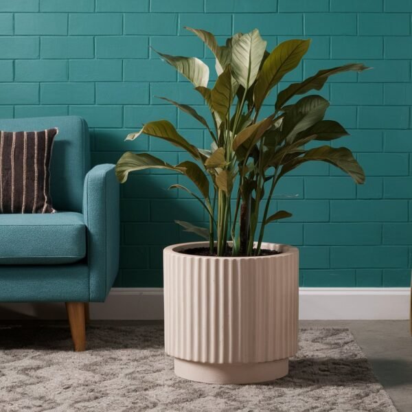 Seagrass Pot